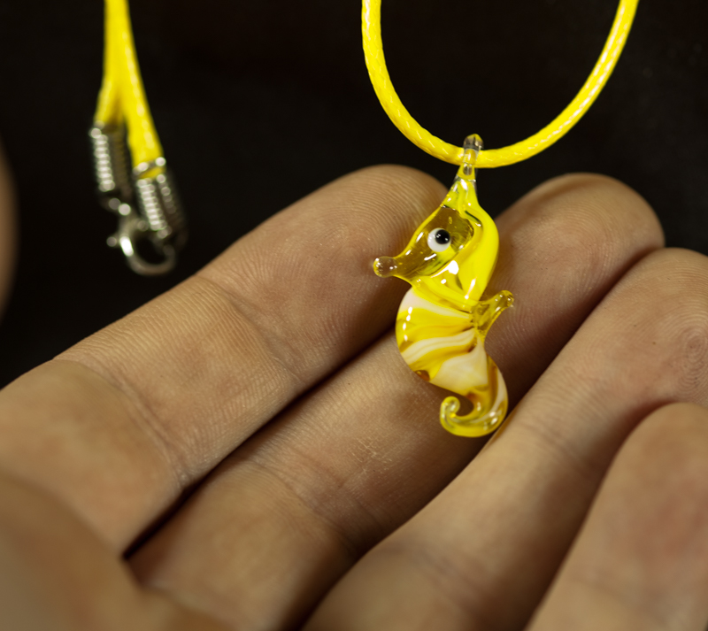 Morski konjic žuto bijeli